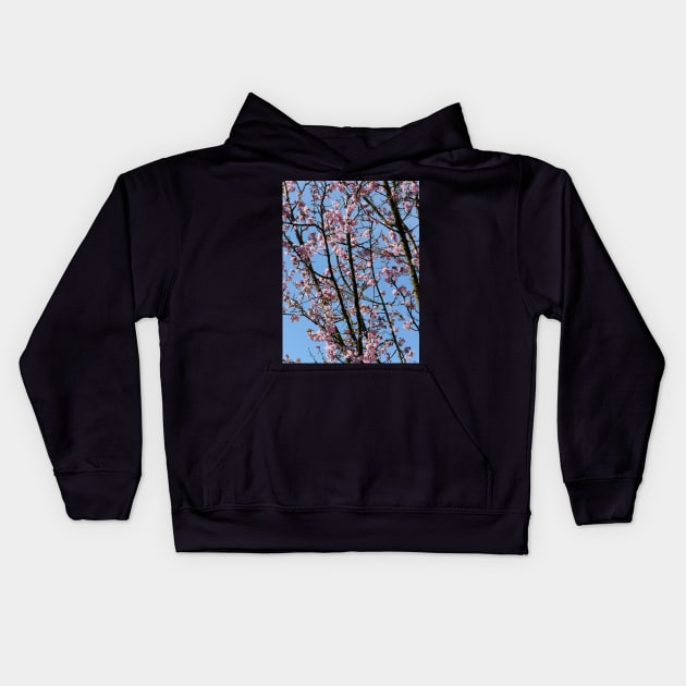 Japanese cherry blossom flowers Kids Hoodie by fantastic-designs